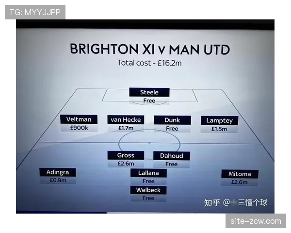 战术趋势转变，德泽尔比麾下布莱顿主场控球率达62%但求转化